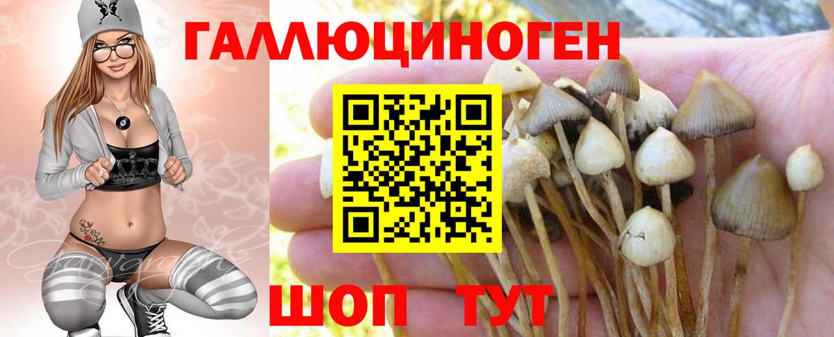 продажа наркотиков  Галлюциногенные грибы MAGIC MUSHROOMS  Вход с VPN  Спасск-Дальний 